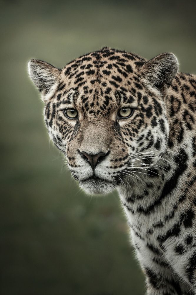 Photograph by Markéta Mastešová