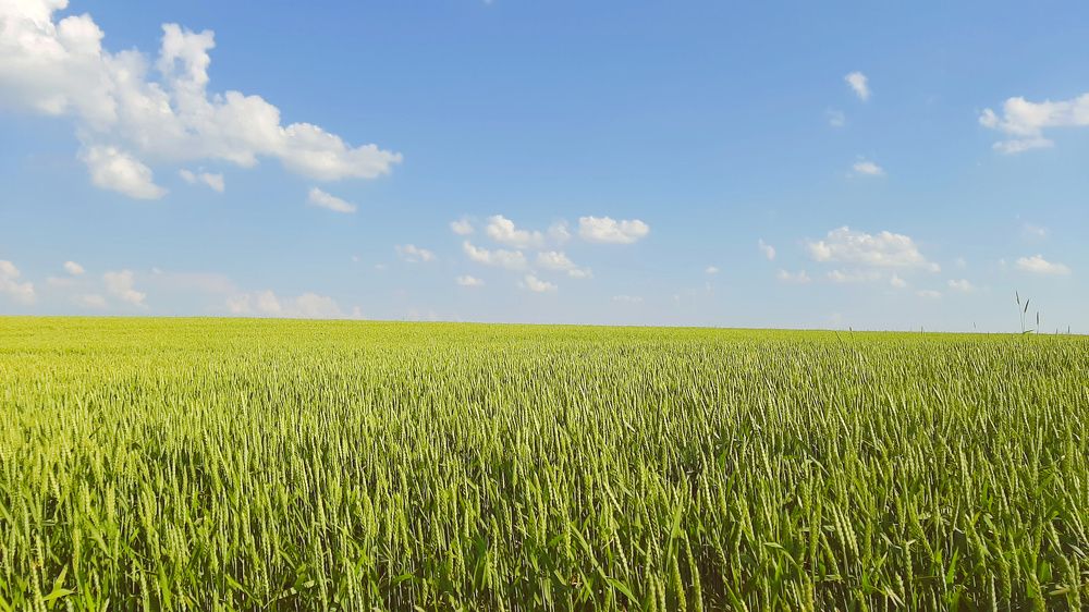 Тридевятое царство