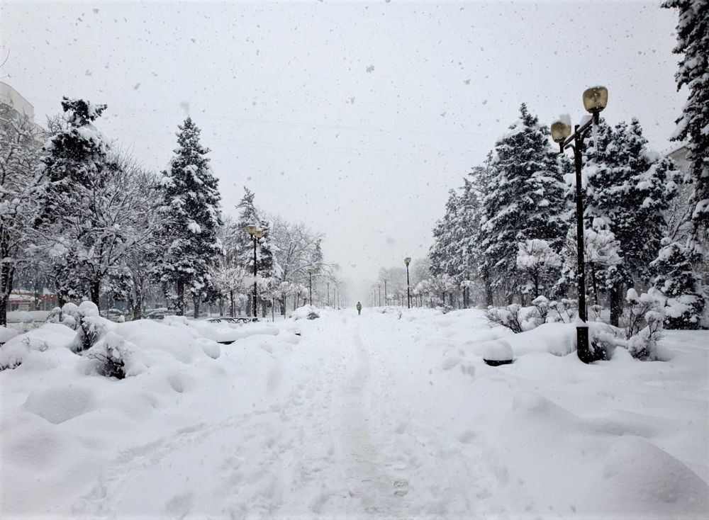 Photograph by Екатерина Шарун