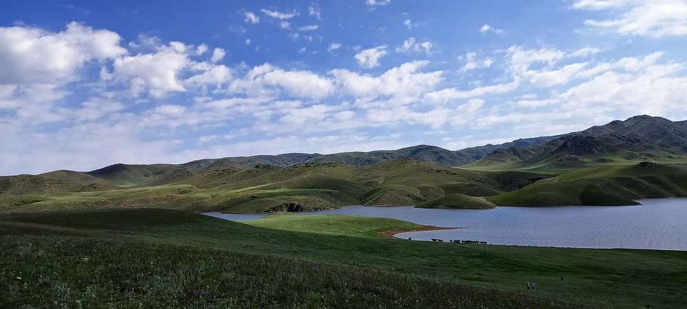 Photograph by Наталья Баранова