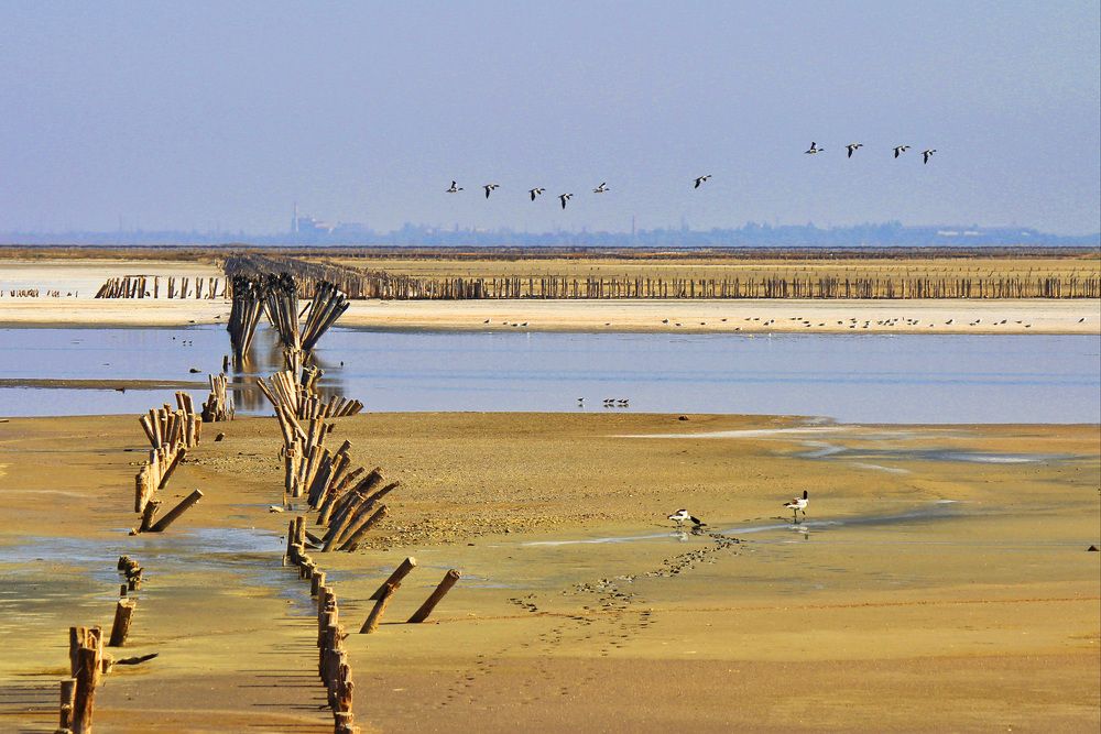 Летят утки....