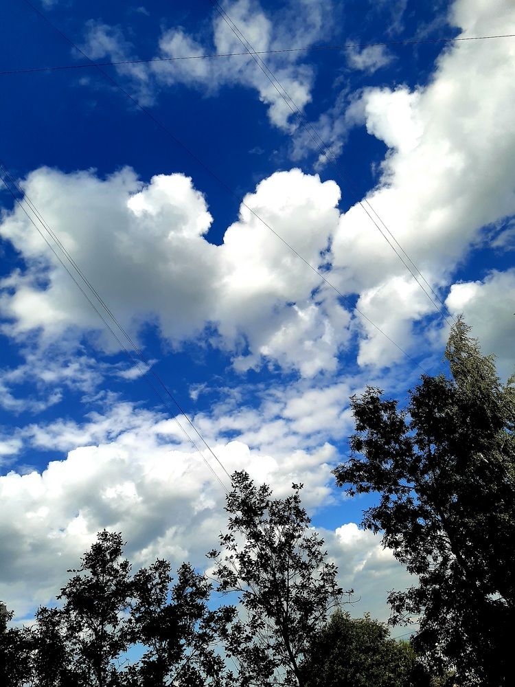 Мобильная фотография.