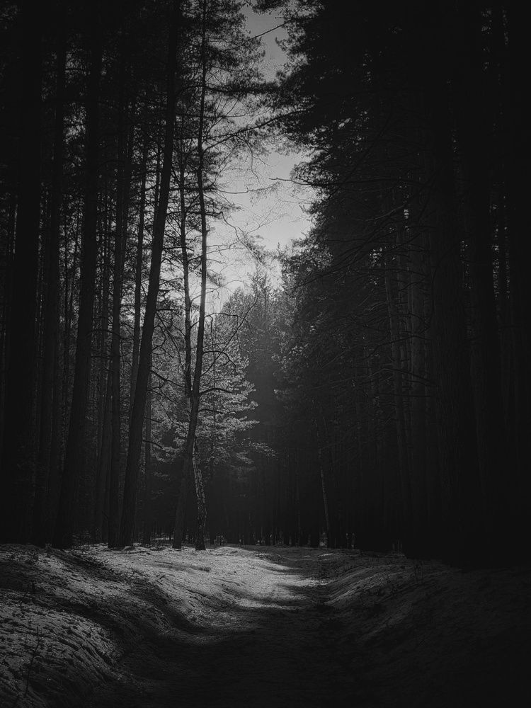 Photograph by Konstantin Martynov