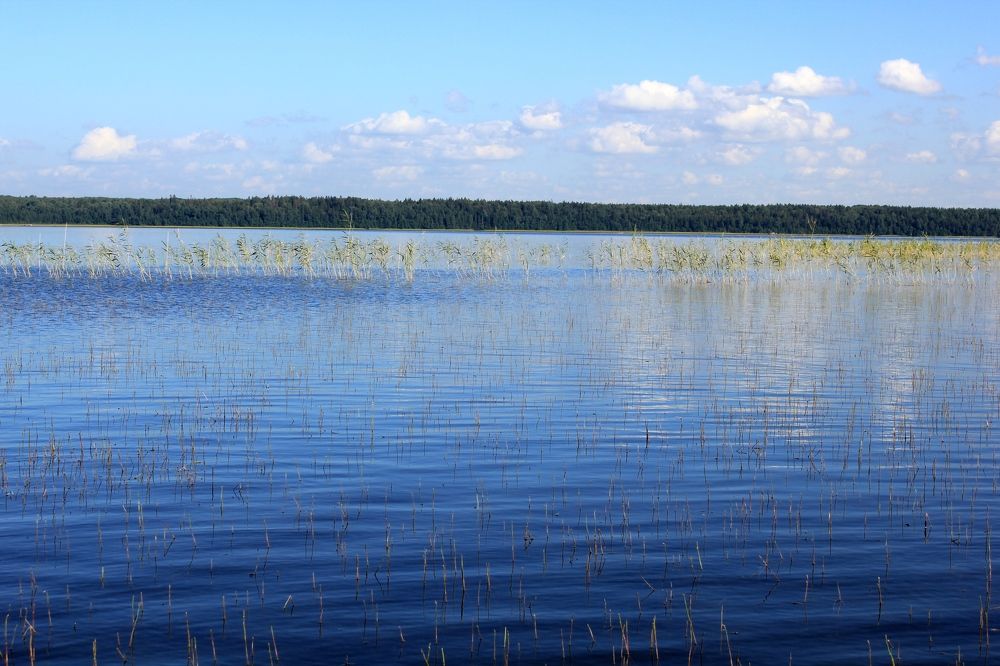 Photograph by Olga Bagaeva