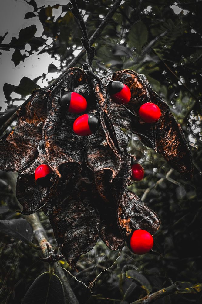 Фотография автора Mohammad Arham Mohammad Arham