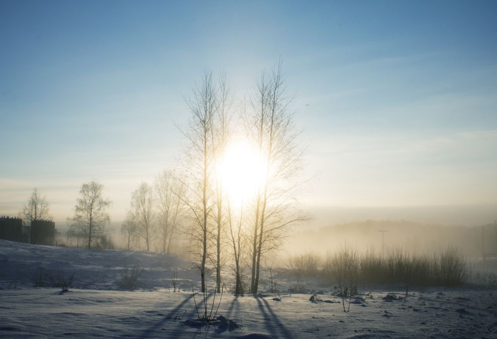 Photograph by Попел Ирина