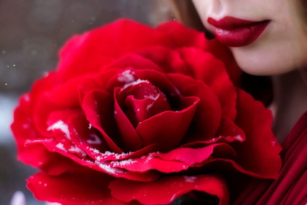 Photograph by Светлана Тимошенина