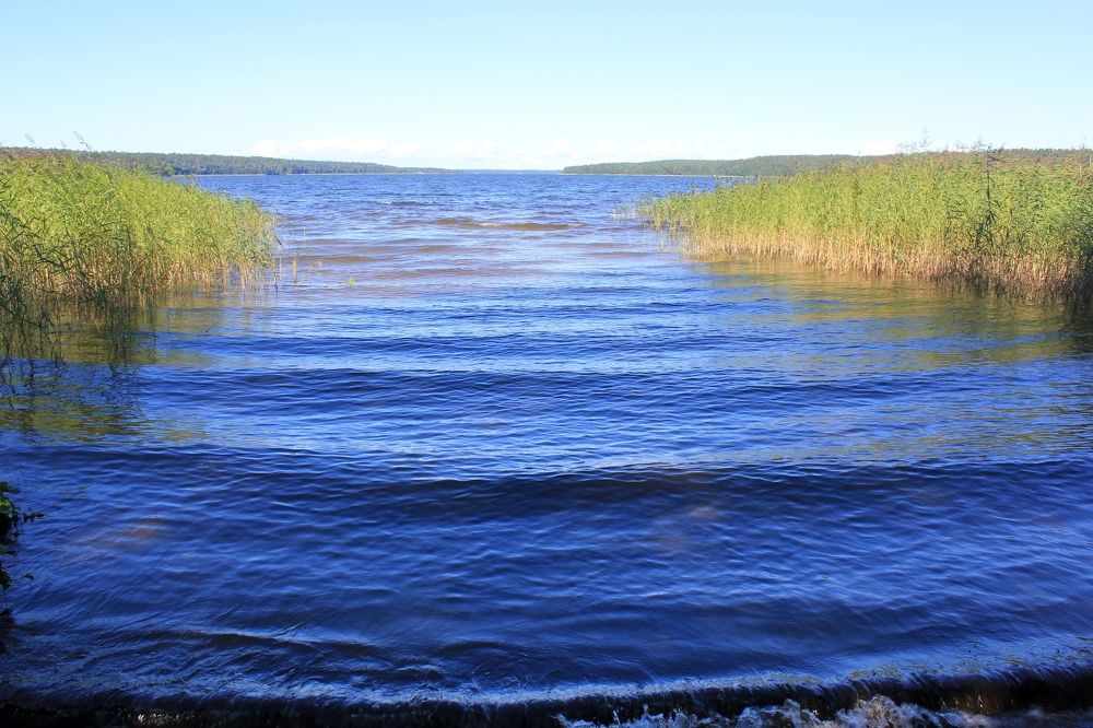 Photograph by Olga Bagaeva