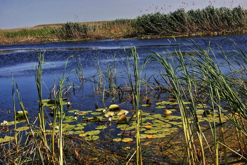 Photograph by Александр Кудрявцев