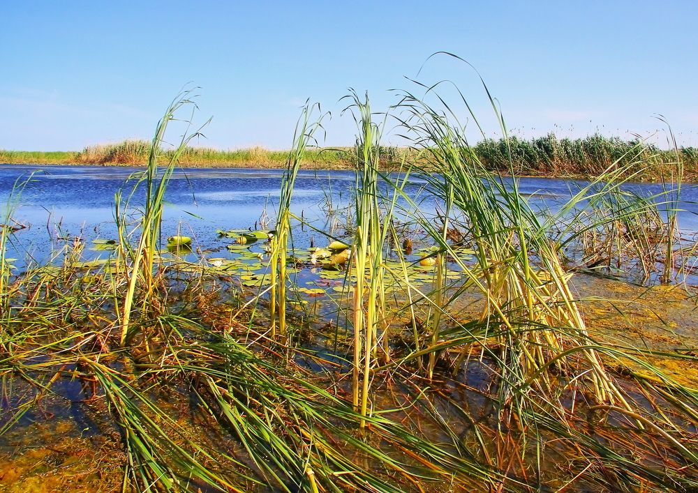 Photograph by Александр Кудрявцев