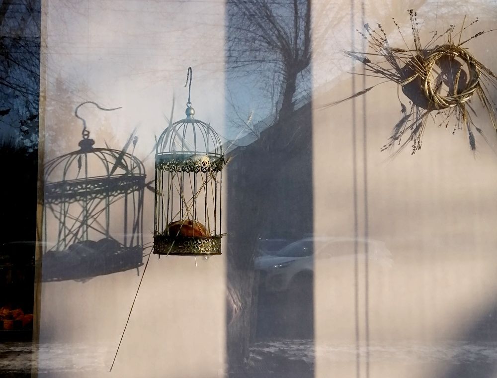 Photograph by Тамара Багровская