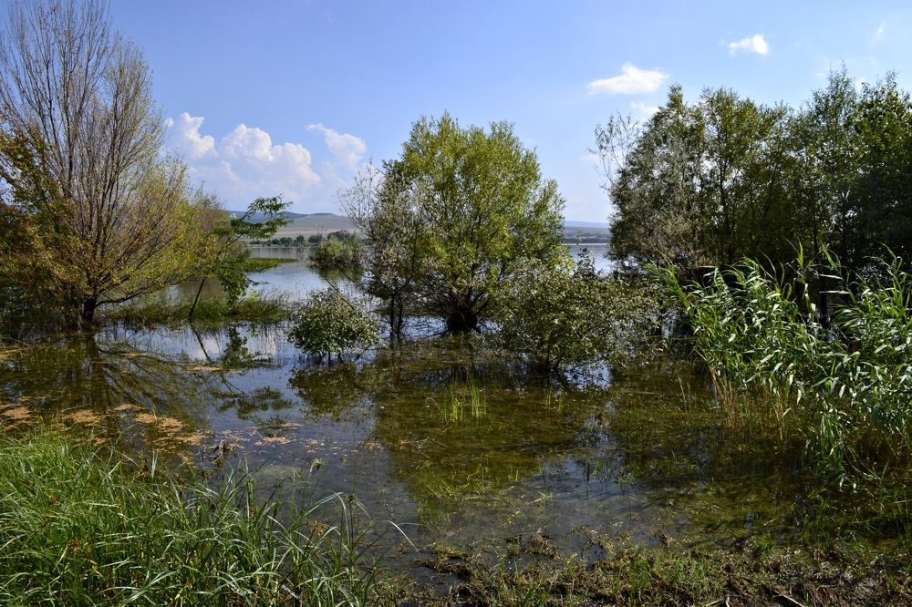 Photograph by Остапчук Ольга