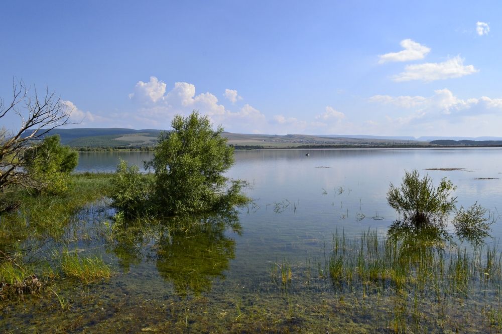 Photograph by Остапчук Ольга