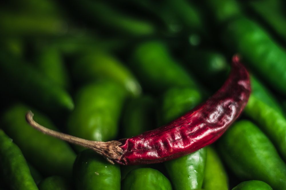 Photograph by GOKUUL T