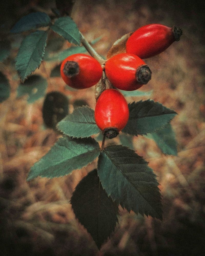 Photograph by Виктор Перегуд