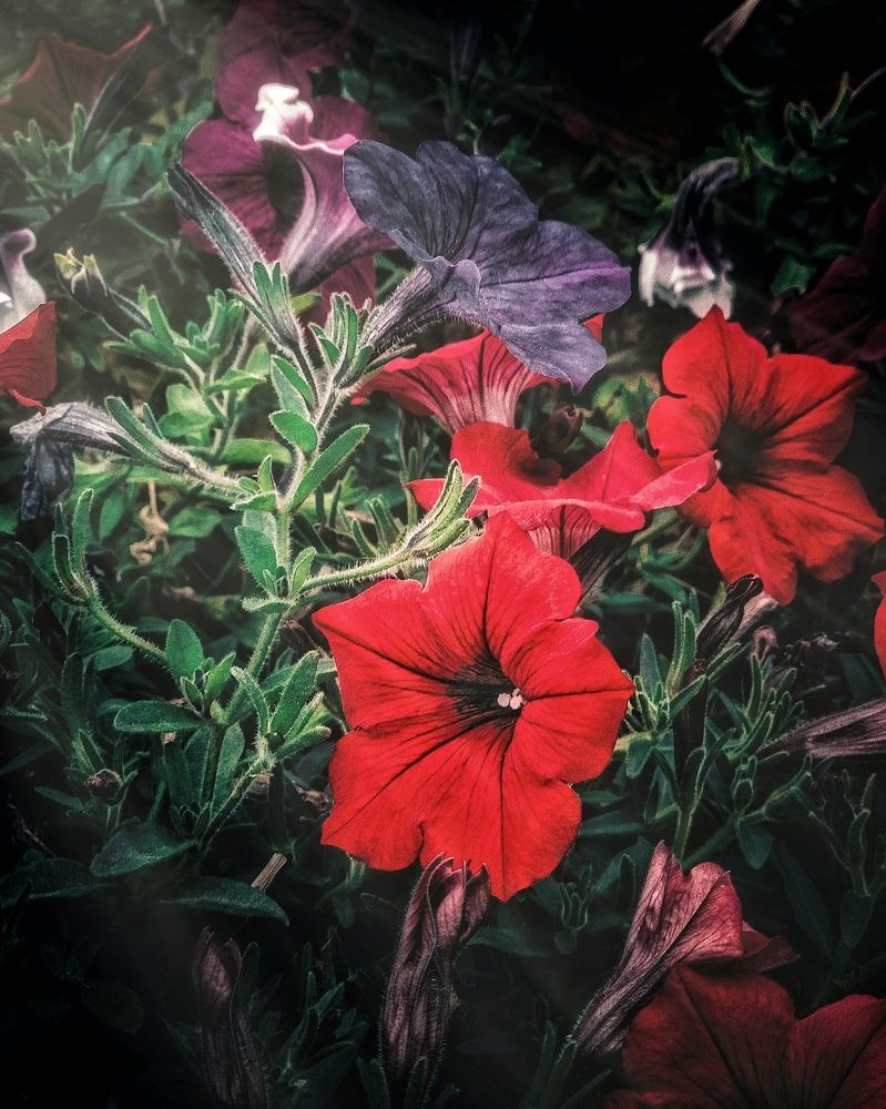 Photograph by Виктор Перегуд