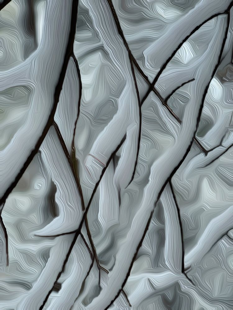 Photograph by Светлана Ткаченко