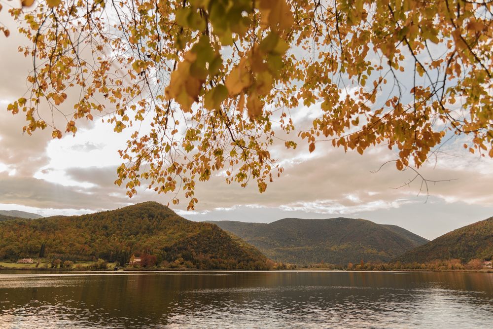 Фотография автора Наталья Татаринова