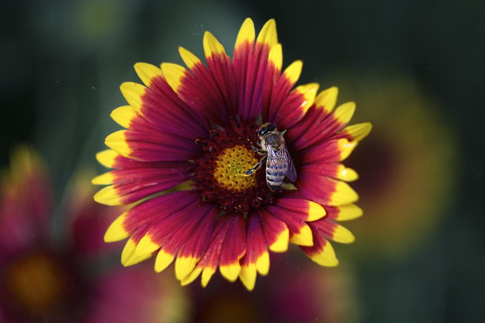 Photograph by ЕВГЕНИЙ СКАЛОЗУБОВ