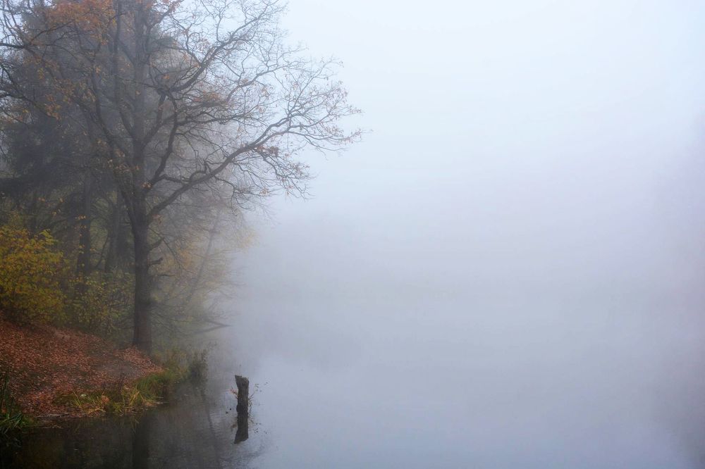 Photograph by Юлия Абрамова