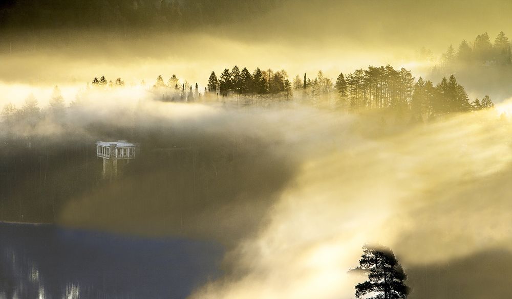 Photograph by Jasmin Suljanovic