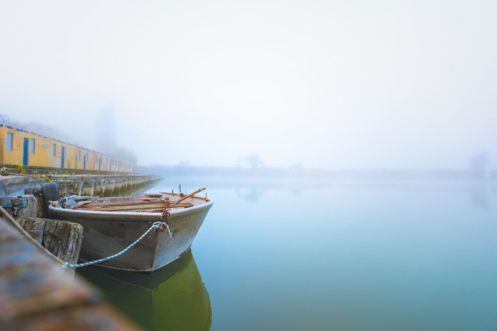 Photograph by Элиша Хенкин