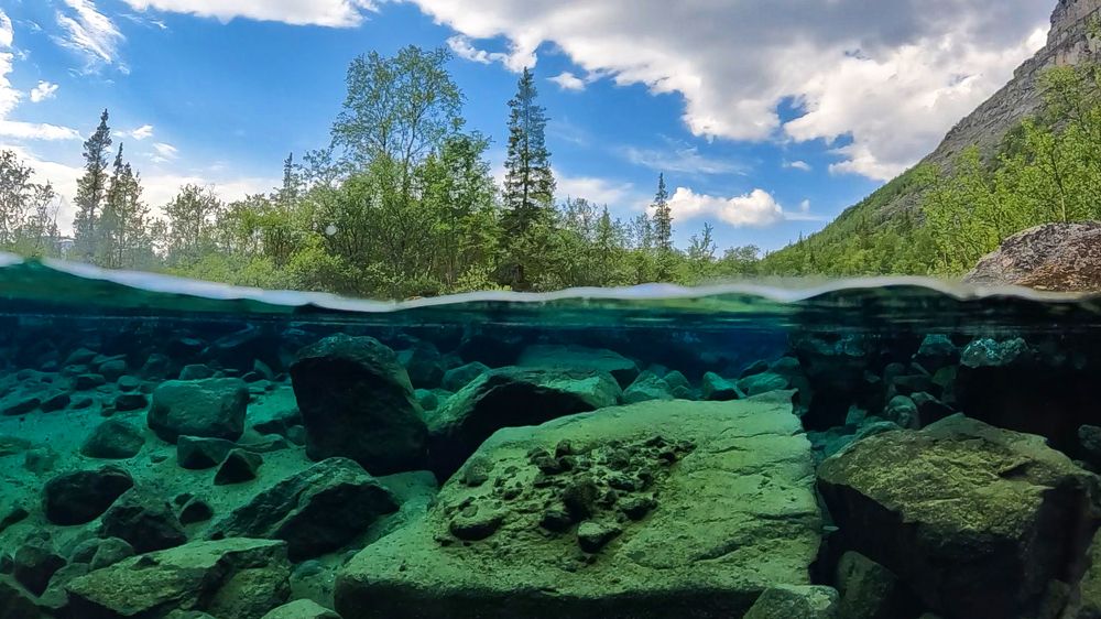 Photograph by ЕВГЕНИЙ СКАЛОЗУБОВ