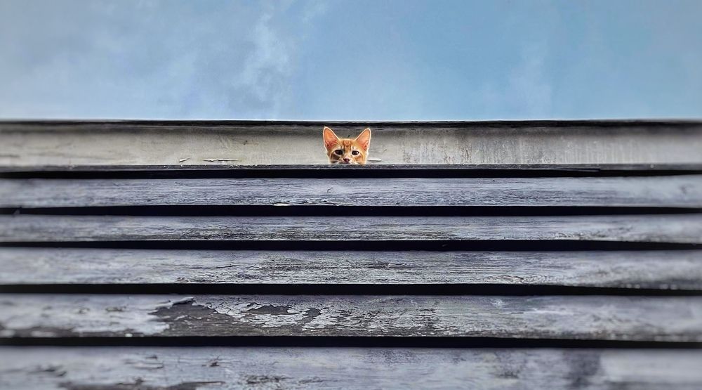 Photograph by Kenzou Sastra