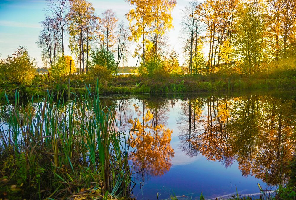 Photograph by Владимир Орлов