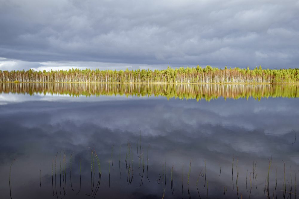 Photograph by Евгений