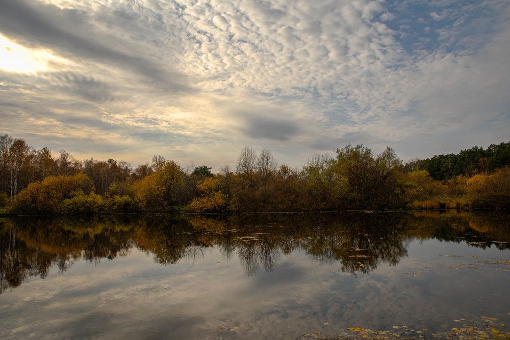 Фотография автора Сергей Чесноков