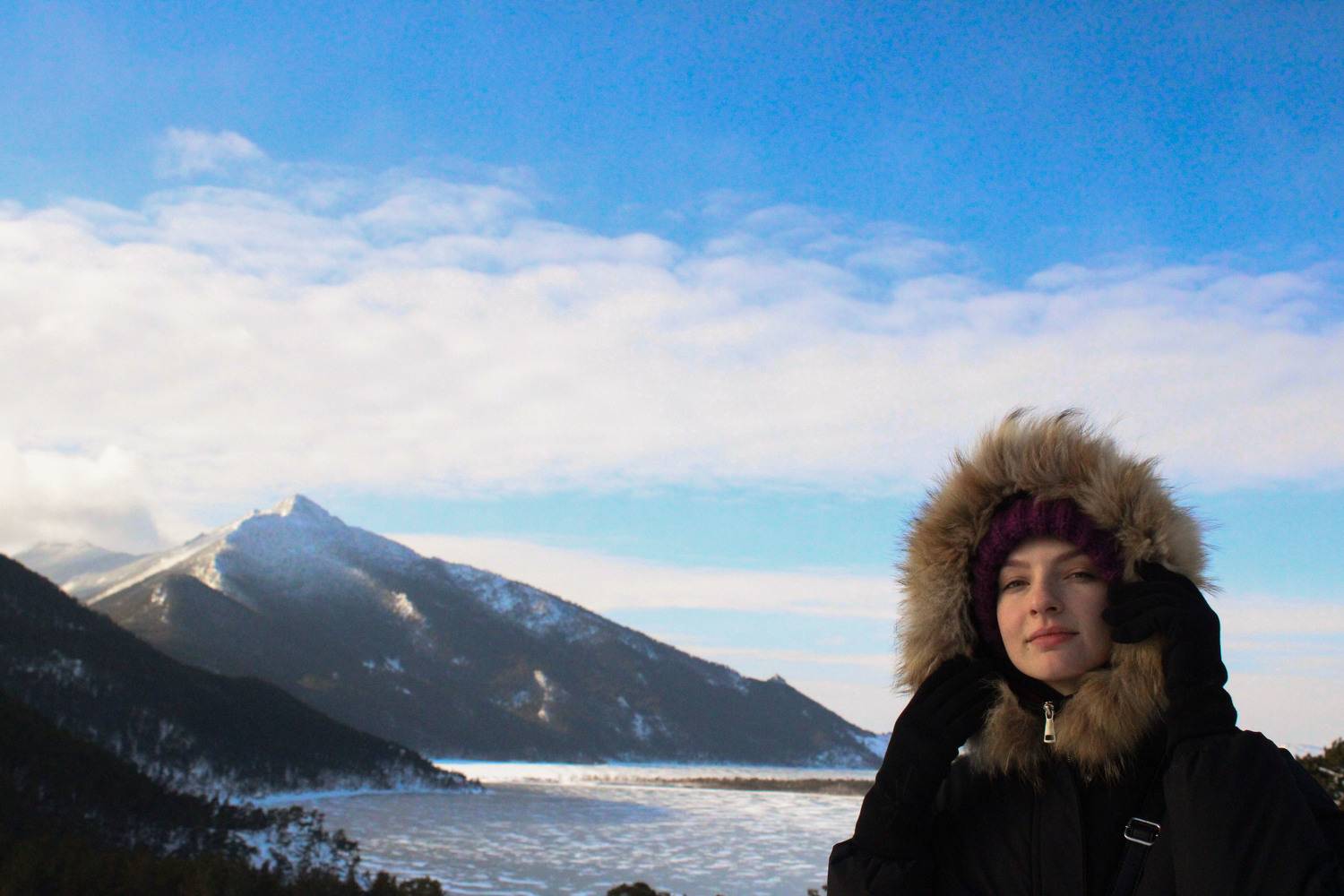 Photo #8376701