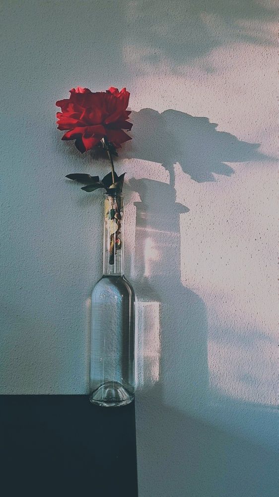 Photograph by Yulia Bilato