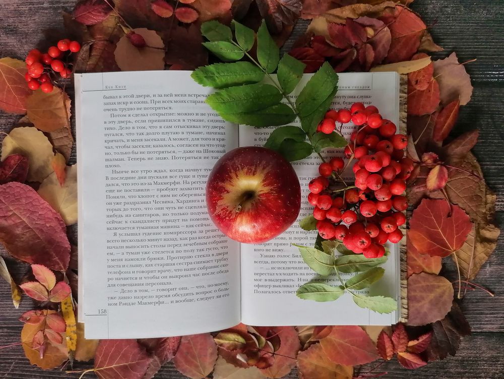 Photograph by Светлана Шелухеева