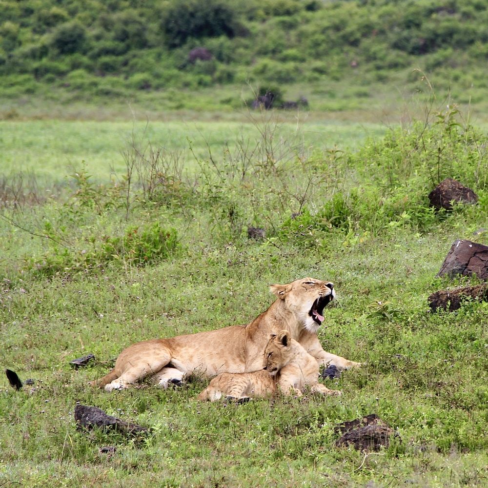 Photograph by Олег Банковский