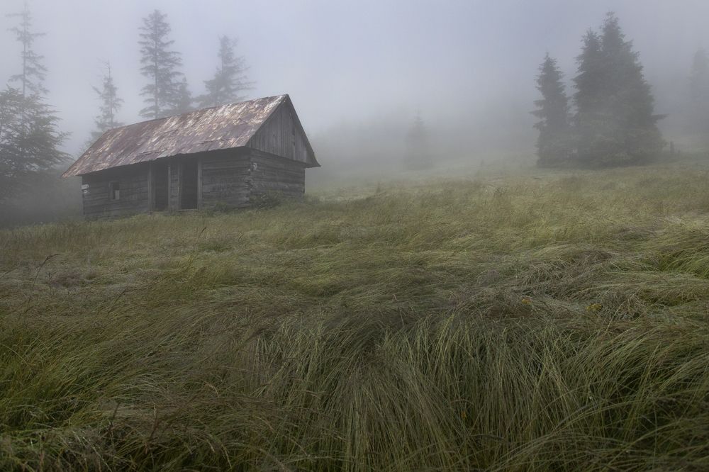 Hut in the fog