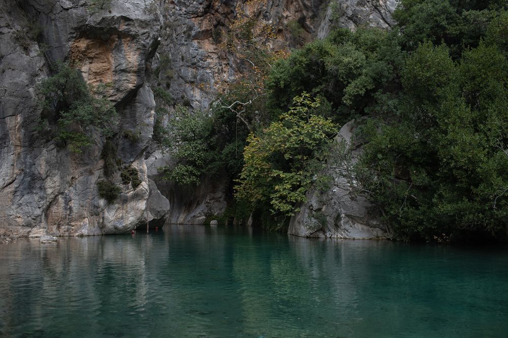 Photograph by Anastasiia Sergeeva