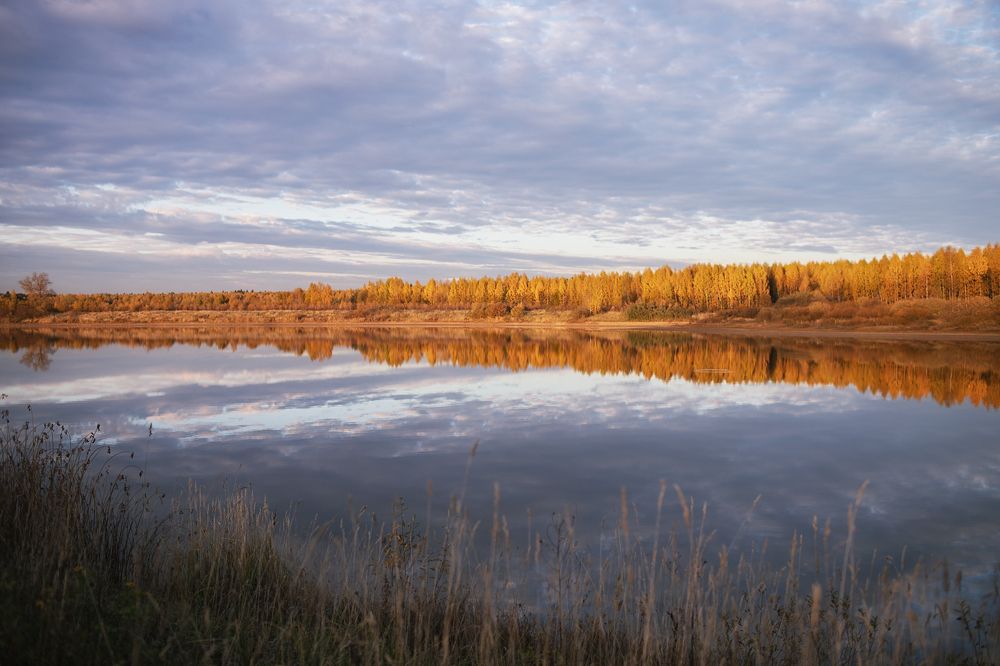 Photograph by Anastasiia Sergeeva