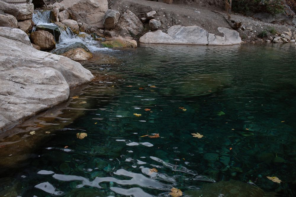 Photograph by Anastasiia Sergeeva