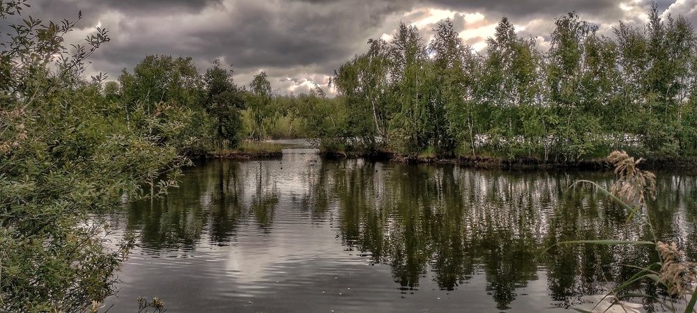 Photograph by vladimir