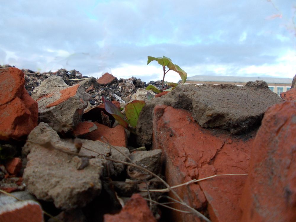 Photo #8376862