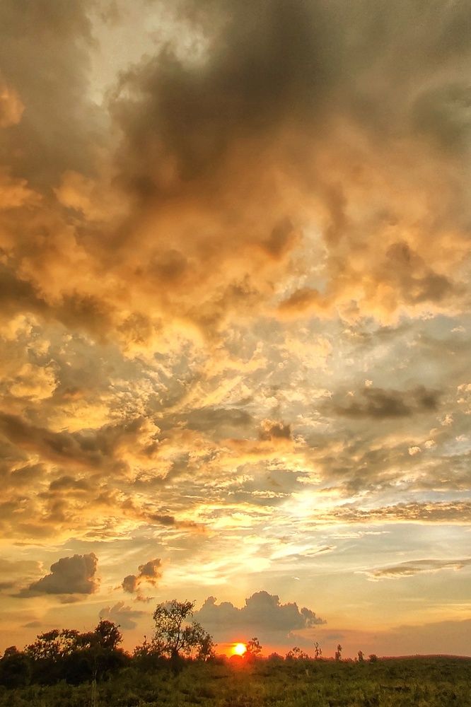 Photograph by SRIMANTA RAY