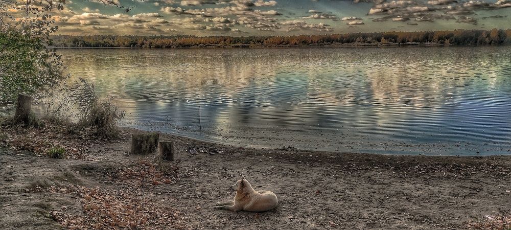 Photograph by vladimir