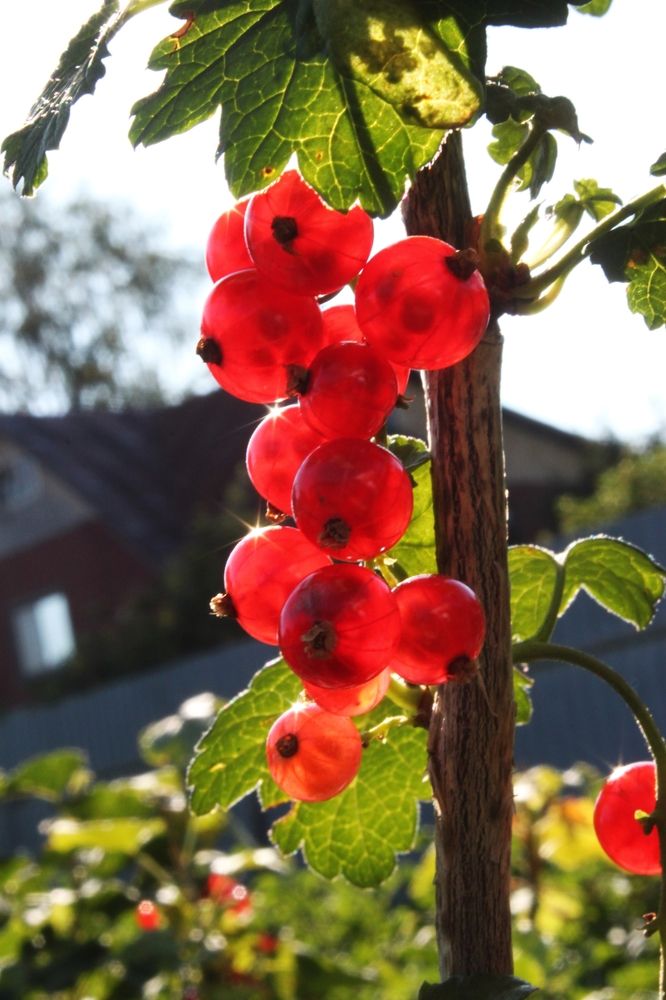 Photograph by Марина Ильева