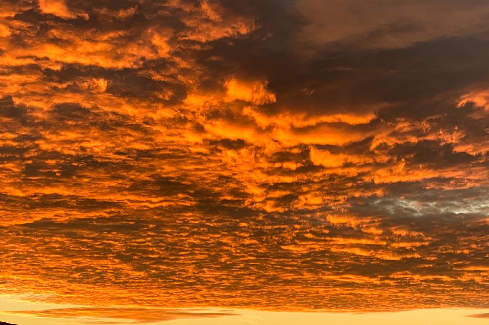 Фотография автора Jian Ma