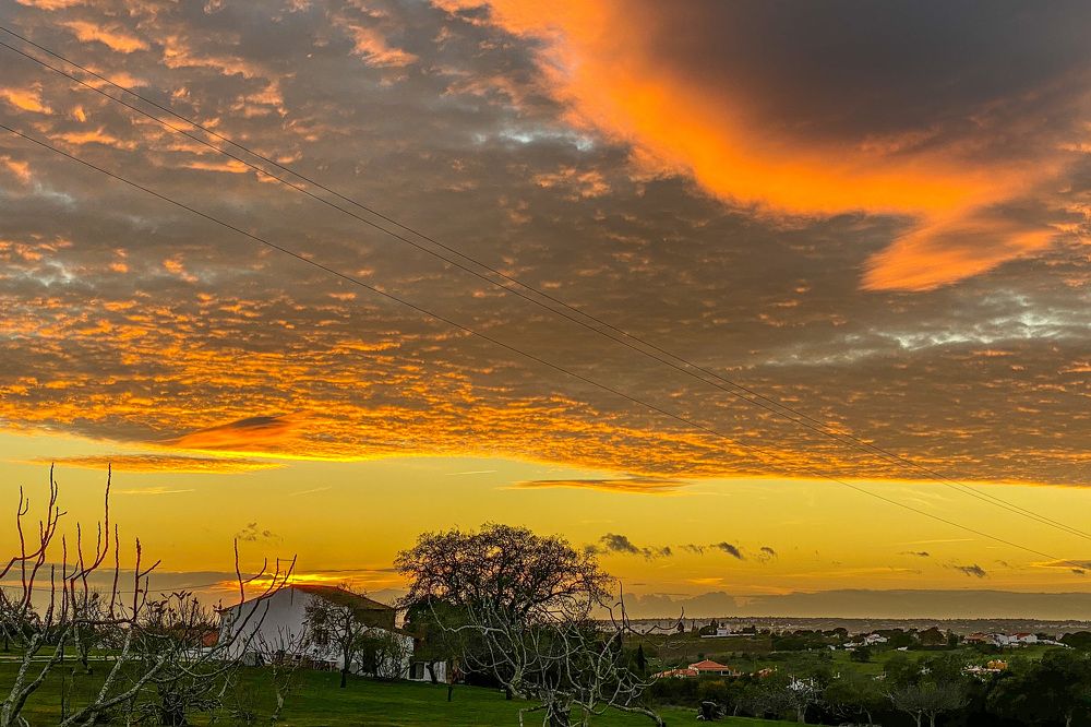 Фотография автора Jian Ma