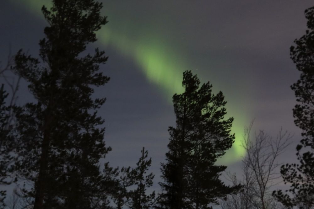 Фотография автора Елена Колосова