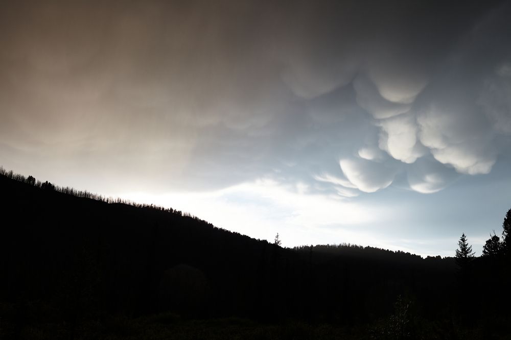 Mammatus