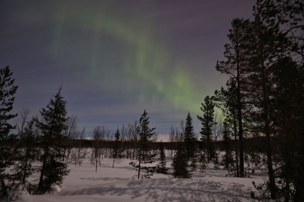 Фотография автора Елена Колосова