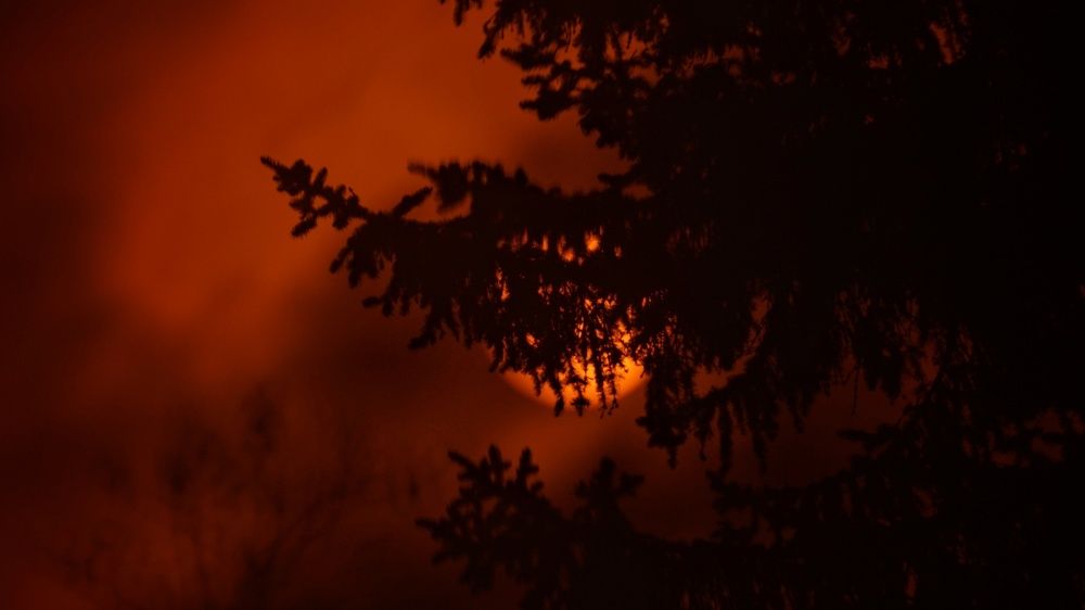 Фотография автора Владимир Коровяковский